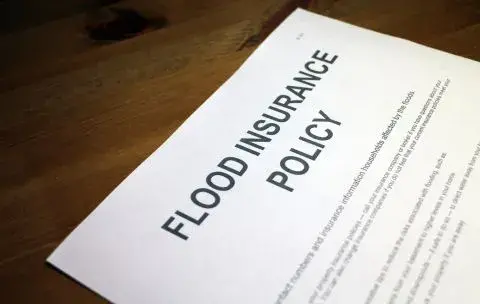 flood insurance